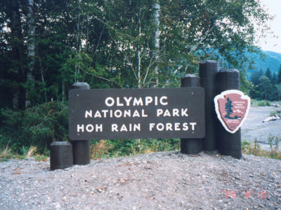 Hoh Rain Forest