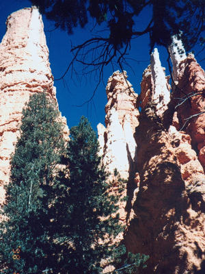 Navajo Loop Trail
