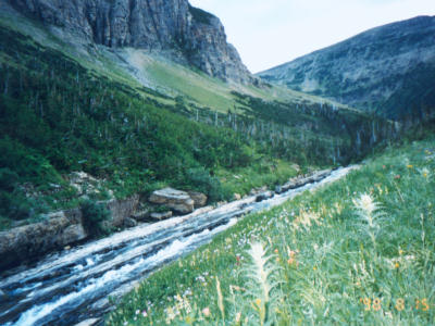 Piegan Pass Trail